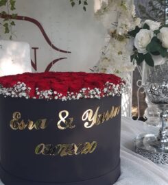 Serdivan Kır Düğünü ve Davet & Balo