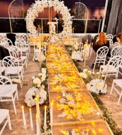 MY Organizasyon Antalya