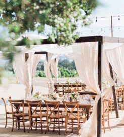 Vialuna Wedding & Event Planner