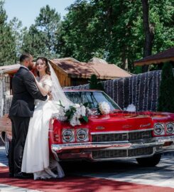 DİVA KIR BAHÇESİ DÜĞÜN SALONU