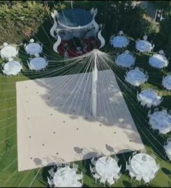 Temenye Quince Garden